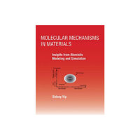 Mit press ltd Molecular Mechanisms in Materials (häftad, eng)