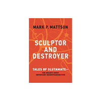 Mit press ltd Sculptor and Destroyer (häftad, eng)