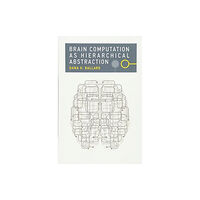 Mit press ltd Brain Computation as Hierarchical Abstraction (häftad, eng)