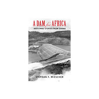 Indiana university press A Dam for Africa (häftad, eng)