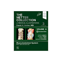 Elsevier - Health Sciences Division The Netter Collection of Medical Illustrations: Musculoskeletal System, Volume 6, Part II - Spine and Lower Limb (inbund...