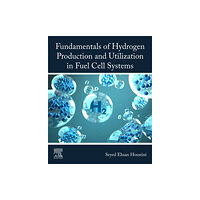 Elsevier - Health Sciences Division Fundamentals of Hydrogen Production and Utilization in Fuel Cell Systems (häftad, eng)