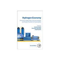 Elsevier Science & Technology Hydrogen Economy (häftad, eng)