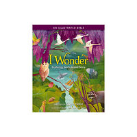 Zondervan I Wonder: Exploring God's Grand Story (inbunden, eng)