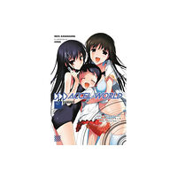Little, Brown & Company Accel World, Vol. 10 (light novel) (häftad, eng)