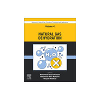 Elsevier - Health Sciences Division Advances in Natural Gas: Formation, Processing, and Applications. Volume 4: Natural Gas Dehydration (häftad, eng)