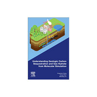 Elsevier - Health Sciences Division Understanding Geologic Carbon Sequestration and Gas Hydrate from Molecular Simulation (häftad, eng)