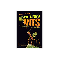 University of california press Adventures among Ants (häftad, eng)