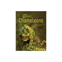 University of california press The Biology of Chameleons (inbunden, eng)