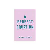 Penguin Putnam Inc A Perfect Equation (häftad, eng)