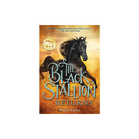Random House USA Inc The Black Stallion Returns (häftad, eng)