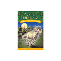 Random House USA Inc Windy Night with Wild Horses (inbunden, eng)