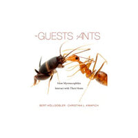 Harvard university press The Guests of Ants (inbunden, eng)