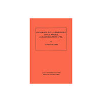 Princeton University Press Cosmology in (2 + 1) -Dimensions, Cyclic Models, and Deformations of M2,1. (AM-121), Volume 121 (häftad, eng)