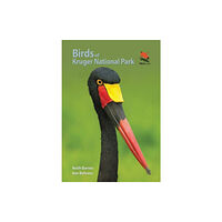 Princeton University Press Birds of Kruger National Park (häftad, eng)