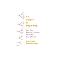 Princeton University Press So Simple a Beginning (inbunden, eng)