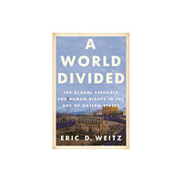 Princeton University Press A World Divided (häftad, eng)