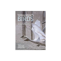 Princeton University Press Yellowstone’s Birds (inbunden, eng)