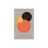 Princeton University Press Psychology of Yoga and Meditation (häftad, eng)