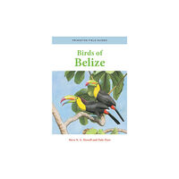 Princeton University Press Birds of Belize (häftad, eng)