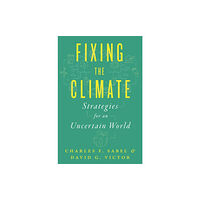 Princeton University Press Fixing the Climate (häftad, eng)