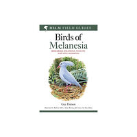 Bloomsbury Publishing PLC Field guide to Birds of Melanesia (häftad, eng)