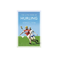 The History Press Ltd The Little Book of Hurling (häftad, eng)