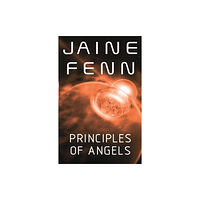 Orion Publishing Co Principles of Angels (häftad, eng)