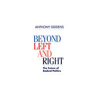 John Wiley And Sons Ltd Beyond Left and Right (häftad, eng)