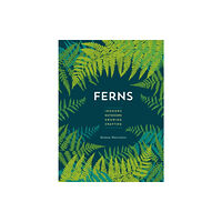 Quarto Publishing Group USA Inc Ferns (häftad, eng)