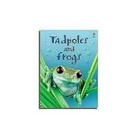 Usborne Publishing Ltd Tadpoles and Frogs (inbunden, eng)