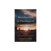 Baker publishing group An Introduction to Theological Anthropology (häftad, eng)