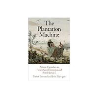 University of Pennsylvania Press The Plantation Machine (häftad, eng)