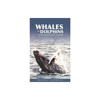 Boulder Books Whales & Dolphins of Newfoundland & Labrador (häftad, eng)