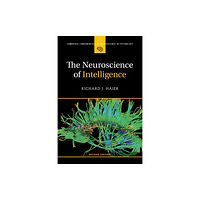 Cambridge University Press The Neuroscience of Intelligence (häftad, eng)