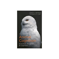 Bloomsbury Publishing PLC Animal Cognition (häftad, eng)