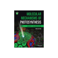 John Wiley & Sons Inc Molecular Mechanisms of Photosynthesis (häftad, eng)