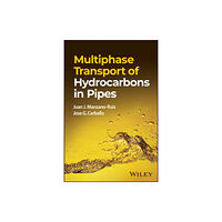 John Wiley & Sons Inc Multiphase Transport of Hydrocarbons in Pipes (inbunden, eng)