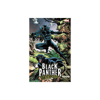 Marvel Comics Black Panther: Panther's Quest (häftad, eng)