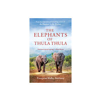 St. Martin's Publishing Group The Elephants of Thula Thula (häftad, eng)