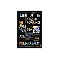 PICADOR Meet Us by the Roaring Sea (häftad, eng)