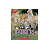 Scholastic Inc. A Colony of Rabbits (Learn About: Animals) (häftad, eng)