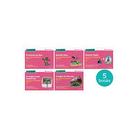 Oxford University Press Read Write Inc. Phonics: Pink Set 3 More Storybooks (Mixed Pack of 5) (häftad, eng)