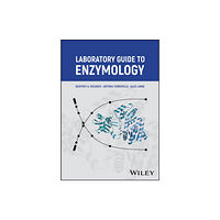 John Wiley & Sons Inc Laboratory Guide to Enzymology (häftad, eng)