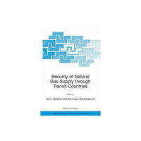 Springer-Verlag New York Inc. Security of Natural Gas Supply through Transit Countries (häftad, eng)