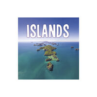 Capstone Global Library Ltd Islands (häftad, eng)