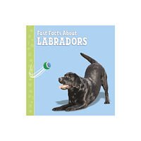 Capstone Global Library Ltd Fast Facts About Labradors (häftad, eng)