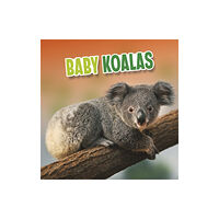 Capstone Global Library Ltd Baby Koalas (häftad, eng)