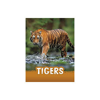 Capstone Global Library Ltd Tigers (inbunden, eng)