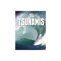 Capstone Global Library Ltd Tsunamis (inbunden, eng)